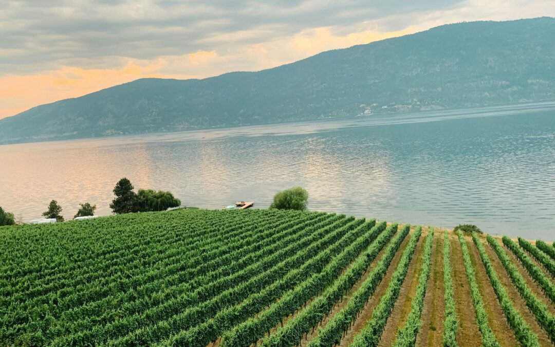 From Vineyard to Board: Celebrating Okanagan’s Local Flavors