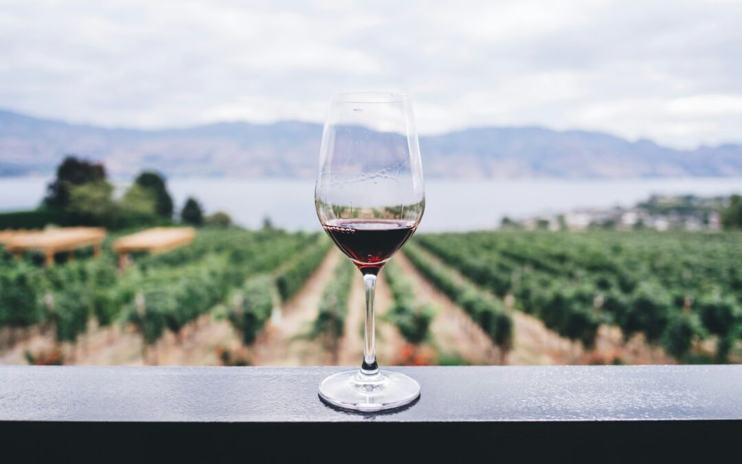 Inside Kelowna’s Wine Scene: Hidden Gems Worth the Pour